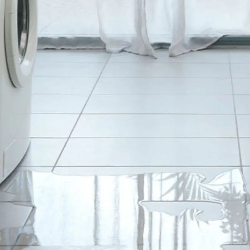 Appliance Leak Cleanup in Florence County, SC